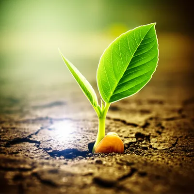 Illustration regenerated - Image 1