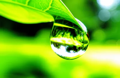 Illustration adhesion