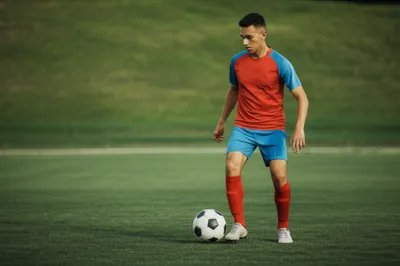 Illustration soli - Image 1