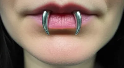 Illustration snakebite - Image 1