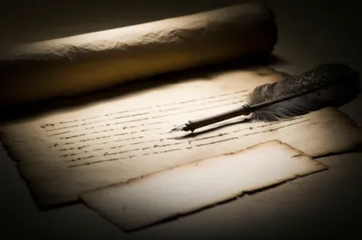 Illustration envois - Image 1