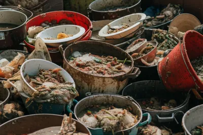 Illustration slops - Image 1