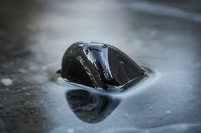 Illustration blacks - Image 1