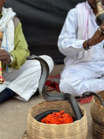 Illustration charmers - Image 2