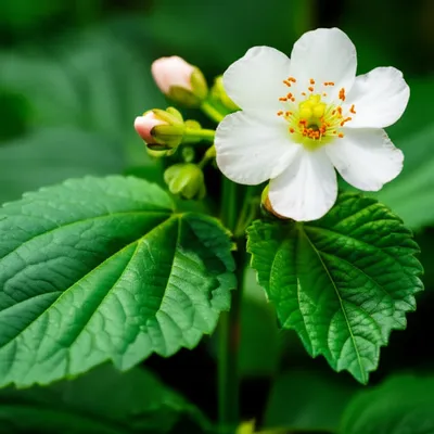 Illustration perfect - Image 1