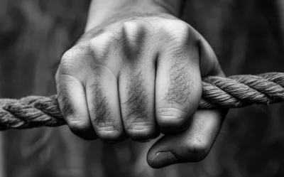 Illustration clipped