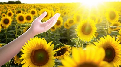 Illustration operated - Image 1