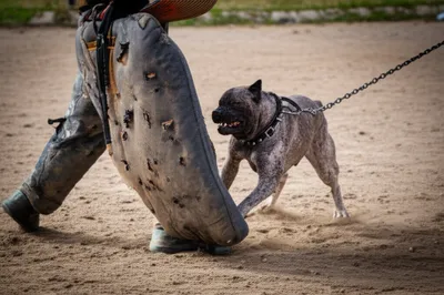 Illustration bumps - Image 1