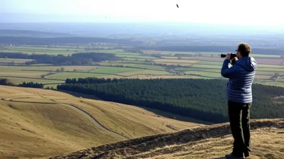 Illustration overlooking - Image 1