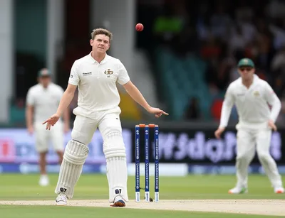 Illustration dollies - Image 1