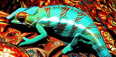 Illustration subtilise - Image 1