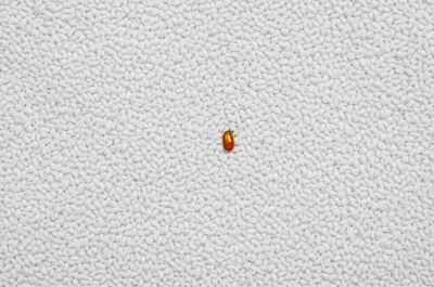 Illustration millionth - Image 1