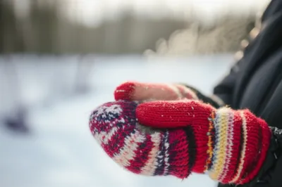 Illustration muffle - Image 1