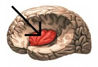 Illustration insular - Image 2