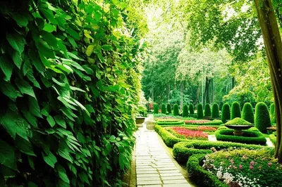 Illustration civilizing - Image 1