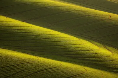 Illustration contoured - Image 1