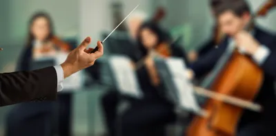 Illustration rests - Image 1