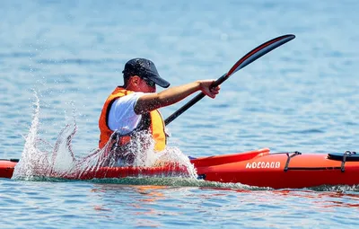 Illustration paddle - Image 1