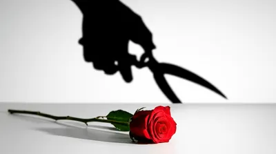 Illustration removal - Image 1