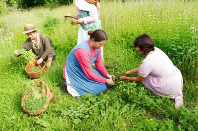 Illustration simple - Image 1