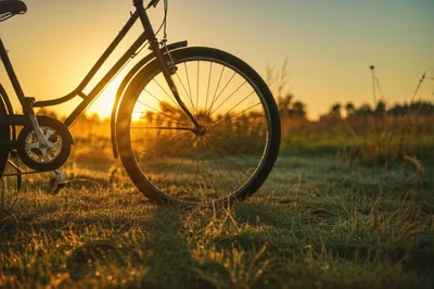 Illustration brake - Image 1