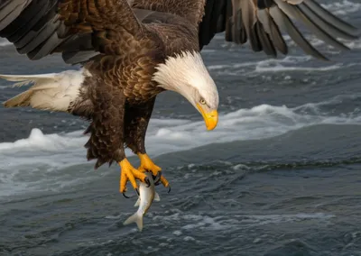 Illustration tires - Image 1