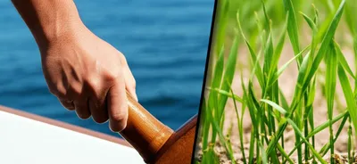 Illustration tillers - Image 1