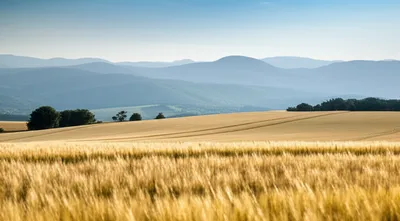 Illustration interior - Image 1