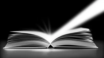 Illustration reach - Image 1