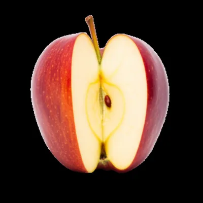 Illustration cut - Image 1