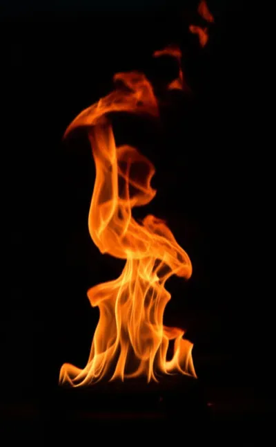 Illustration tong - Image 1