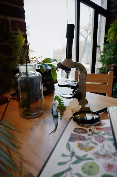 Illustration taxonomies - Image 2