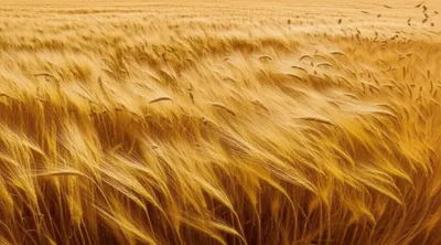 Illustration winding - Image 1