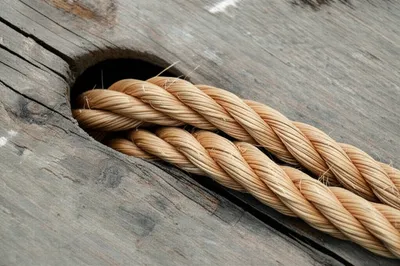 Illustration extenuating - Image 1