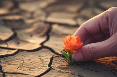 Illustration intentions - Image 1