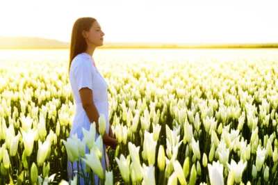 Illustration virtues - Image 1