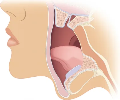 Illustration closest - Image 1