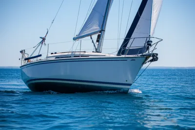 Illustration trimmed - Image 1