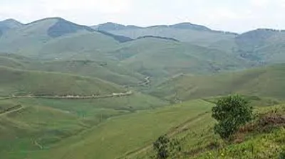 Illustration hilly - Image 2