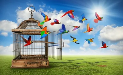 Illustration abandoned - Image 1