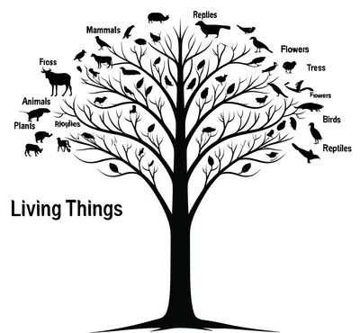 Illustration taxonomies - Image 1