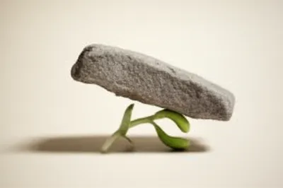 Illustration against - Image 1