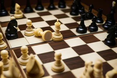 Illustration mate - Image 1