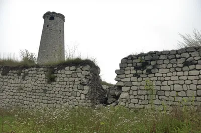 Illustration slighted - Image 1