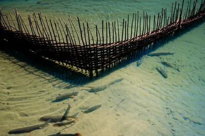 Illustration kettles - Image 1