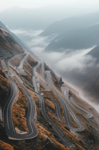 Illustration twisting - Image 1