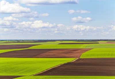 Illustration plain - Image 1