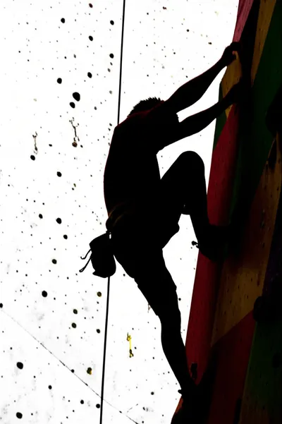 Illustration climbs - Image 1