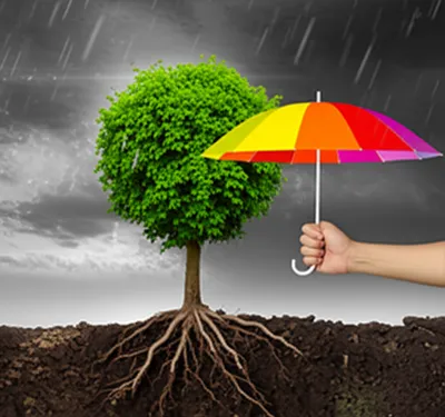 Illustration insuring - Image 1