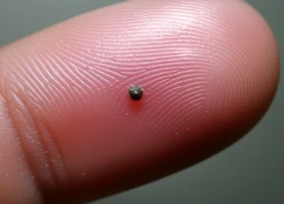 Illustration rankled